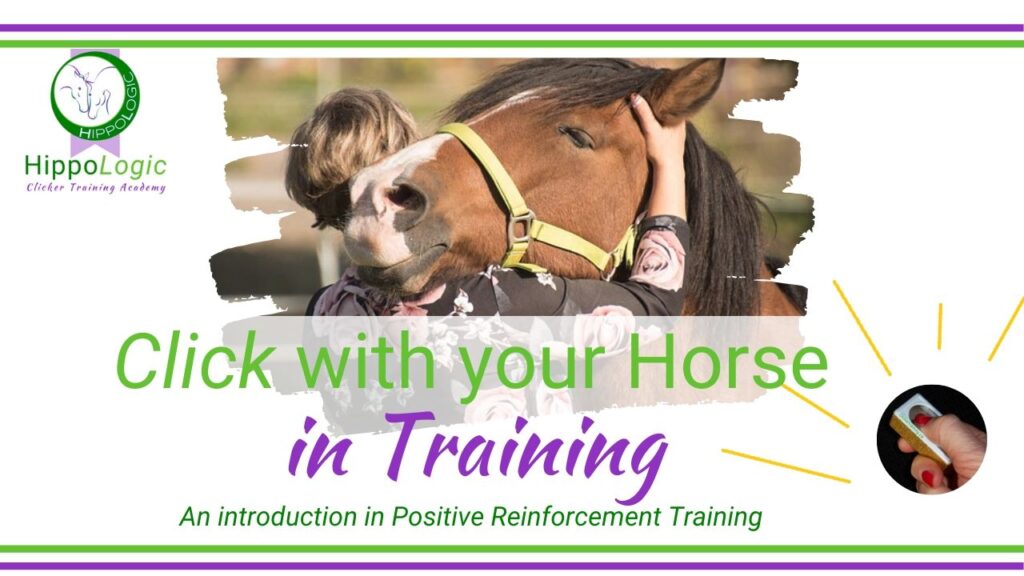 Click With Your Horse in training